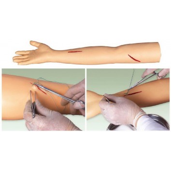 ADVANCED SUTURE PRACTICE ARM (SOFT)